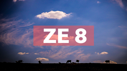 ZE-8