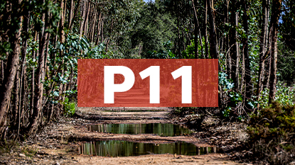 Ponto de Interesse 11