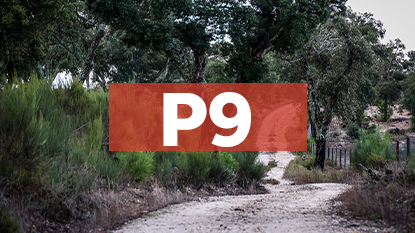 Ponto de Interesse 9